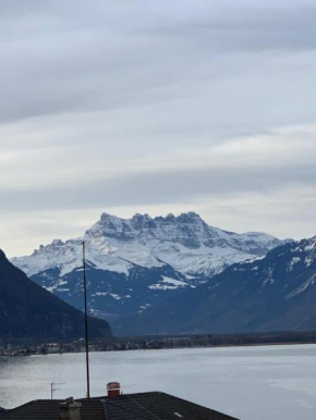 TOP Montreux Centre 2-8 p., view lake and Chillon Castle